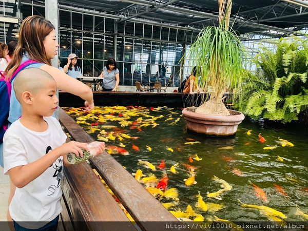 金車蘭花園_200608_0015.jpg 金車蘭花園_200608_0015.jpg