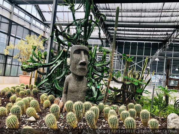 金車蘭花園_200608_0032.jpg 金車蘭花園_200608_0032.jpg