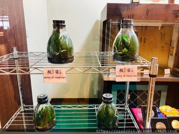 金車蘭花園_200608_0021.jpg 金車蘭花園_200608_0021.jpg