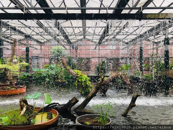 金車蘭花園_200608_0042.jpg 金車蘭花園_200608_0042.jpg