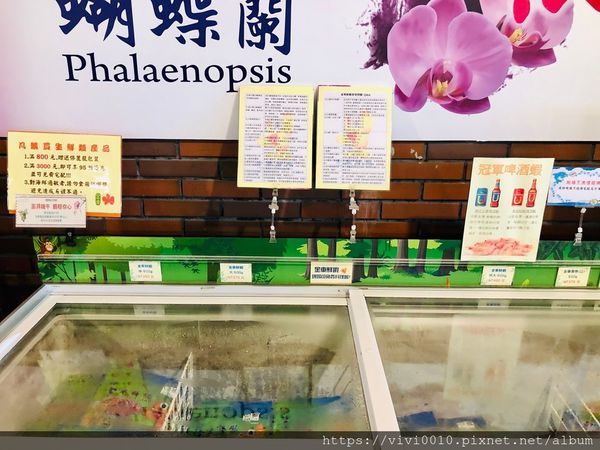 金車蘭花園_200608_0043.jpg 金車蘭花園_200608_0043.jpg