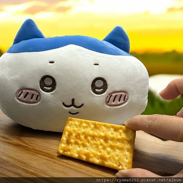 健司起司餅乾好吃嗎？開箱心得來了，健康餅乾推薦。