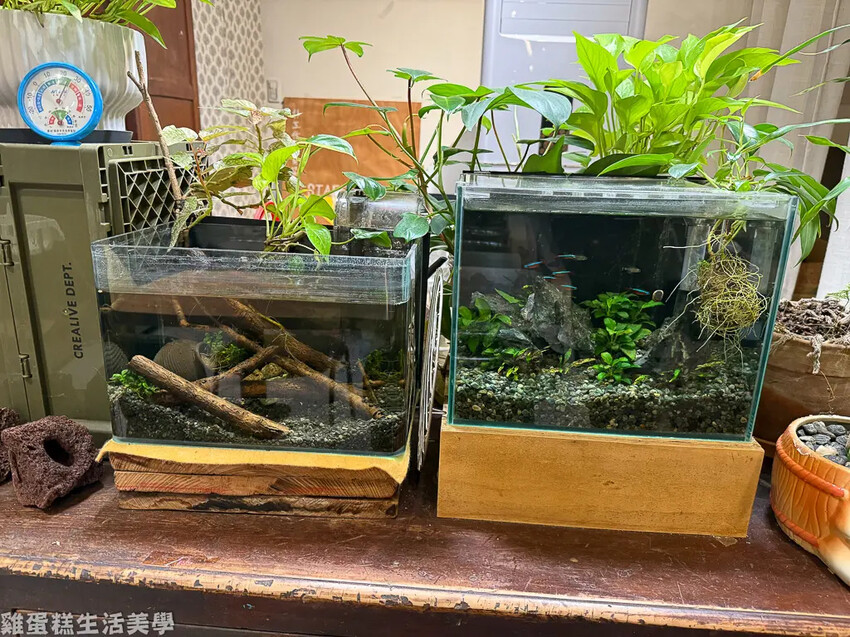 【新竹食記】銀滿豆花