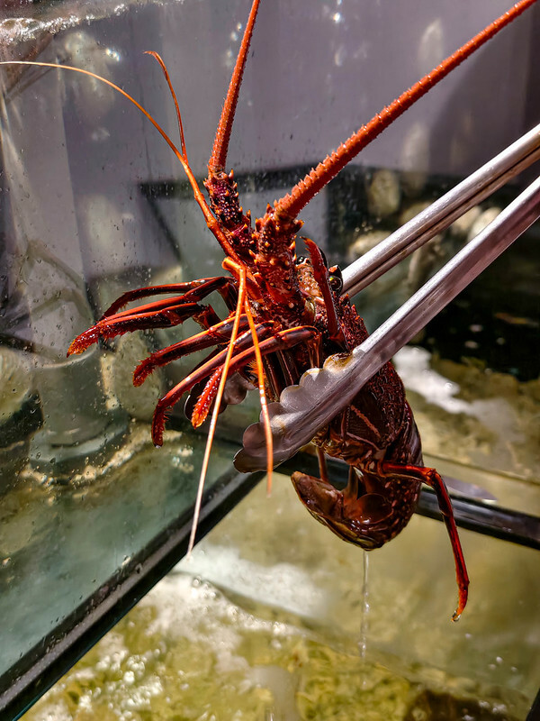 台北鐵板燒隱藏版必吃！御-A Teppanyaki頂級和牛龍蝦饗宴，專屬KTV體驗超嗨。