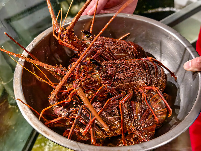 台北鐵板燒隱藏版必吃！御-A Teppanyaki頂級和牛龍蝦饗宴，專屬KTV體驗超嗨。