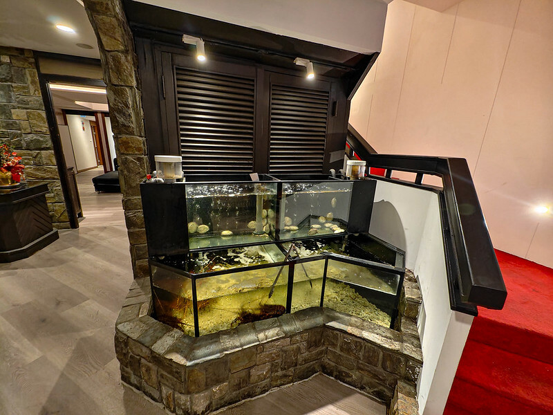 台北鐵板燒隱藏版必吃！御-A Teppanyaki頂級和牛龍蝦饗宴，專屬KTV體驗超嗨。