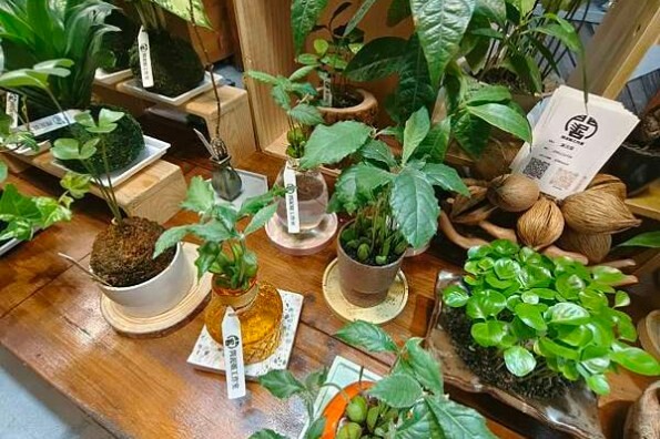 老饕必Buy雲林北港爐憶羊肉爐，溫補首選，宅配美食在家輕鬆享用！