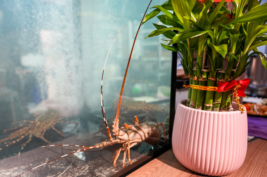 桃園中壢｜石拾伍石頭火鍋，爆炒香氣讓人流口水，手工沙茶必沾！