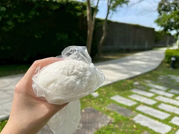 鶯歌宜蘭土包子X安妮王的旅行記_003
