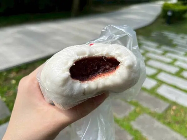 鶯歌宜蘭土包子X安妮王的旅行記_008