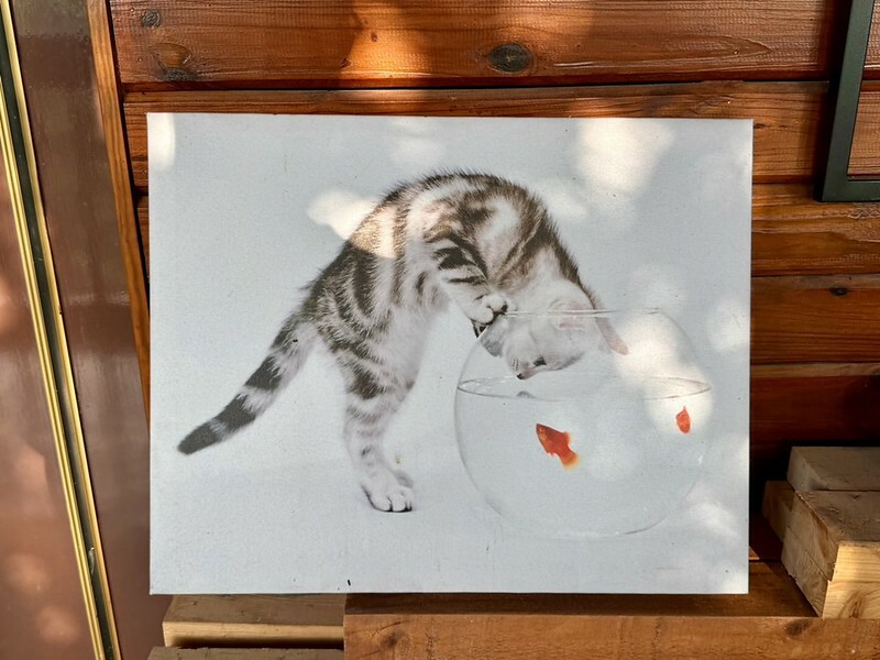 桃園市龜山區秘境咖啡【霖咖啡 lincafe’】絕美夕陽風景配美食