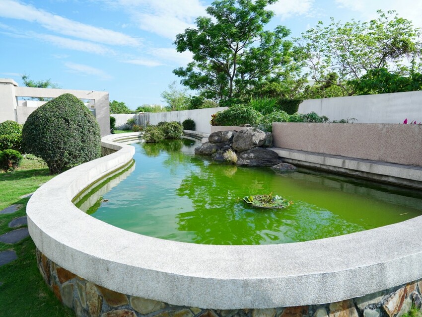 台東縣台東市台東住宿推薦首選，絕美山嵐與飯店設施一次擁有｜娜路彎銀河酒店住宿體驗