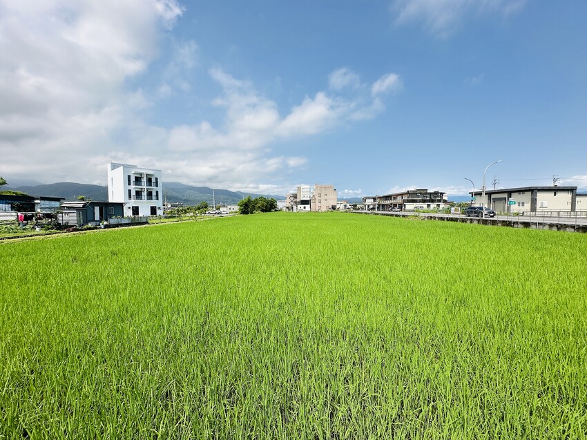 【田邊走走2館】宜蘭冬山親子包棟民宿首選!被稻田環抱的療癒空 【田邊走走2館】宜蘭冬山親子包棟民宿首選!被稻田環抱的療癒空