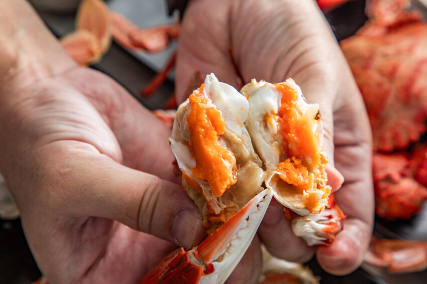 萬里蟹只要150元！金山隱藏海鮮餐廳，新北海鮮推薦。