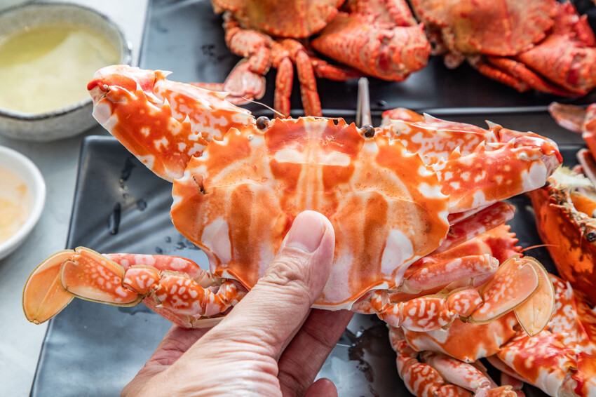 萬里蟹只要150元！金山隱藏海鮮餐廳，新北海鮮推薦。