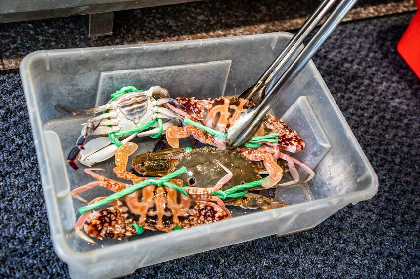 萬里蟹只要150元！金山隱藏海鮮餐廳，新北海鮮推薦。