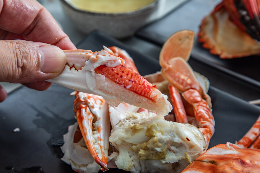 萬里蟹只要150元！金山隱藏海鮮餐廳，新北海鮮推薦。