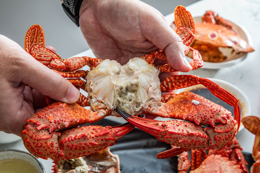 萬里蟹只要150元！金山隱藏海鮮餐廳，新北海鮮推薦。