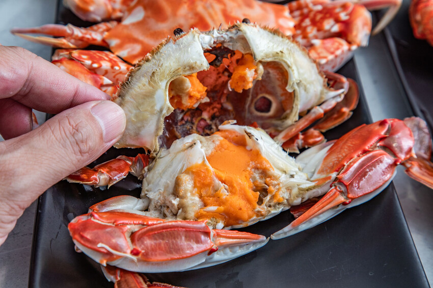 萬里蟹只要150元！金山隱藏海鮮餐廳，新北海鮮推薦。