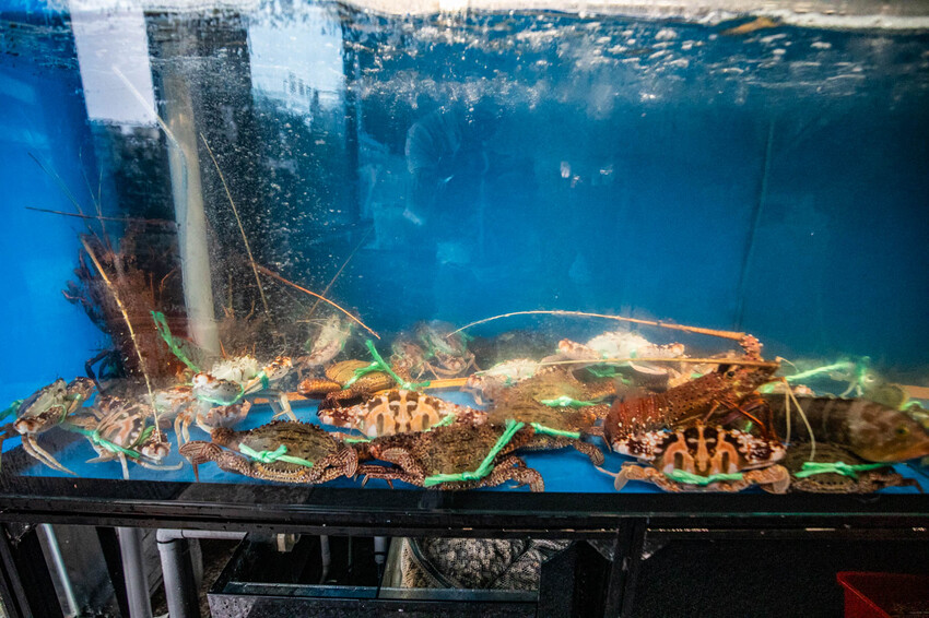 萬里蟹只要150元！金山隱藏海鮮餐廳，新北海鮮推薦。