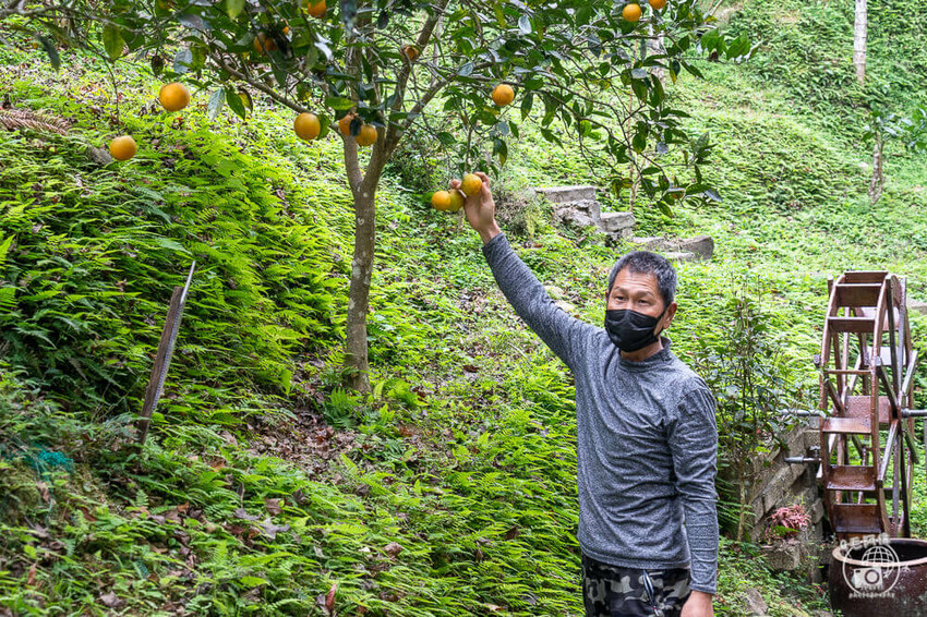 桃園大溪包場莊園推薦,百吉星墅超好拍,求婚烤肉包場首選。