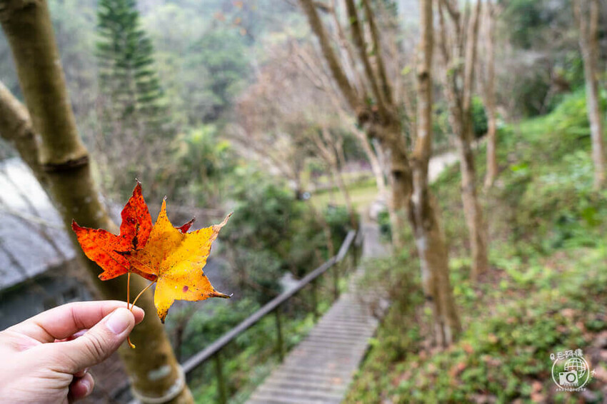桃園大溪包場莊園推薦,百吉星墅超好拍,求婚烤肉包場首選。