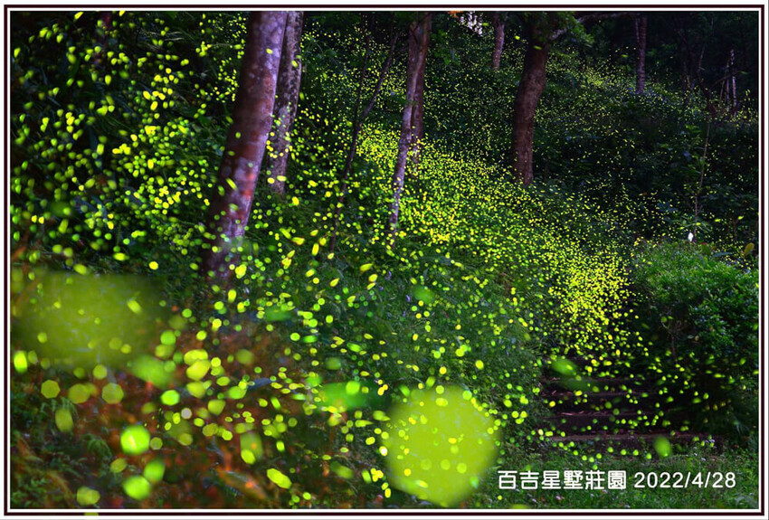 桃園大溪包場莊園推薦,百吉星墅超好拍,求婚烤肉包場首選。