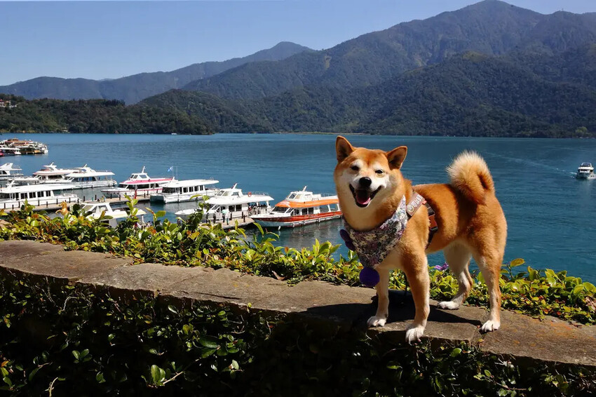 日月潭景觀餐廳推薦，眺Tiao，水社碼頭咖啡廳，270度湖景