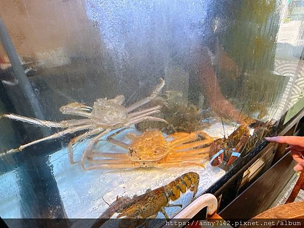 [美食●火鍋]桃園龜山林口火鍋推薦｜精焱鍋物-頂級活體海鮮火