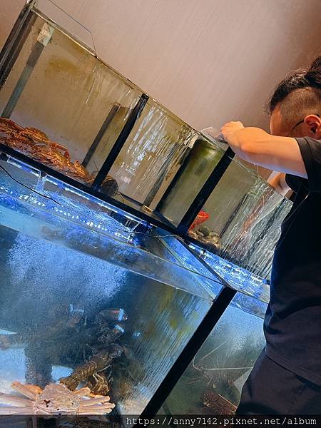[美食●火鍋]桃園龜山林口火鍋推薦｜精焱鍋物-頂級活體海鮮火