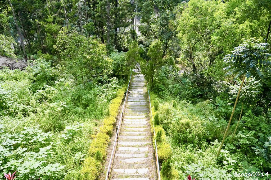 台南龍崎美食|王家燻羊肉,隱身山中的在地老味道,古法燻羊肉香 台南龍崎美食|王家燻羊肉,隱身山中的在地老味道,古法燻羊肉香