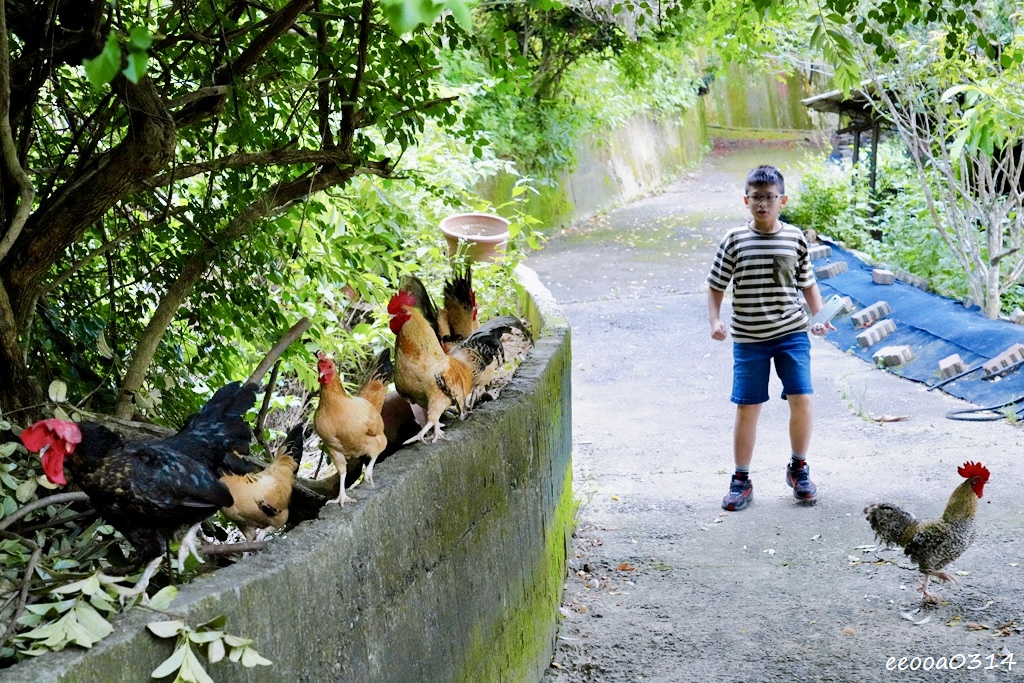 台南龍崎美食|王家燻羊肉,隱身山中的在地老味道,古法燻羊肉香 台南龍崎美食|王家燻羊肉,隱身山中的在地老味道,古法燻羊肉香