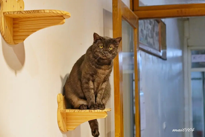 沒有招牌、隱藏在市場裡的日式料理，料多味美的味增湯免費喝到飽