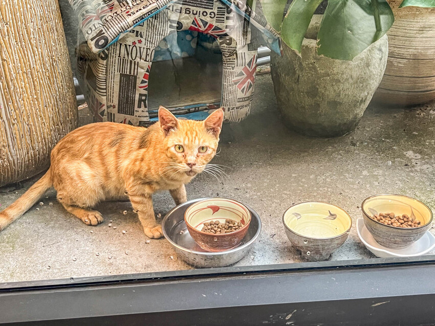 金山磺港人氣海景咖啡廳海上日出,絕美景觀咖啡廳。