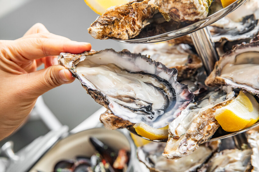 法國空運生蠔現開!台北She’ll海鮮控必吃,大安區美食。