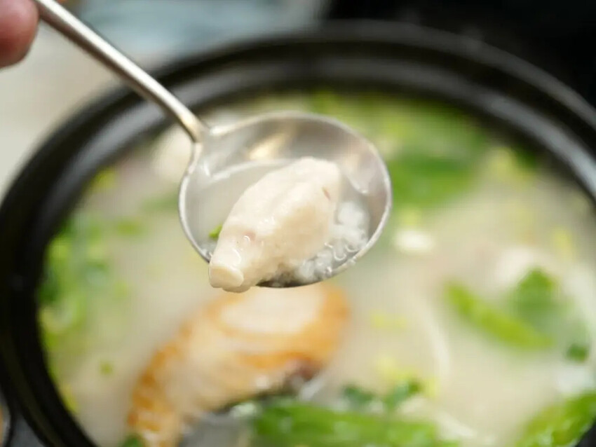 台南美食餐廳│寶煲餐飲│東區質感美食│開幕三重送│被整塊土魠