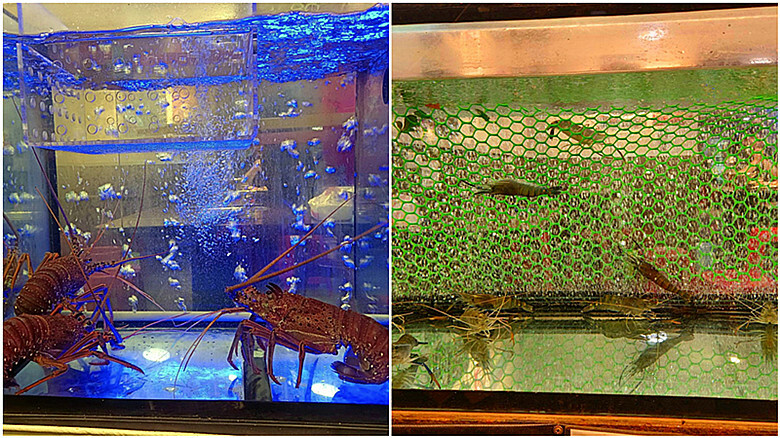 信義區熱炒首選！Google 4.9星「俗又大碗」熱炒嗨起來。