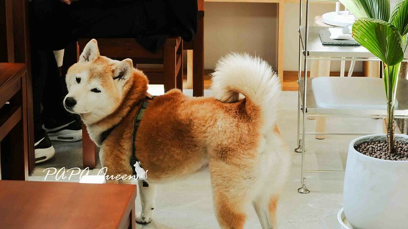 台中黎明新村咖啡廳！青林檎ao.ringo日風和洋朝食，享受老宅氛圍。