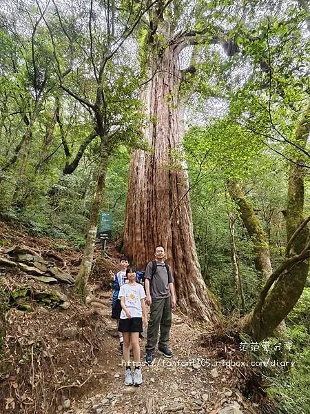 【拉拉山民宿】北橫貫下巴陵溫泉山莊｜藏身北橫公路的溫泉綠洲，泡湯賞山景吃合菜一次滿足！ (42).jpg