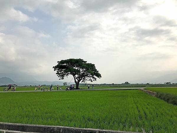心繫山嵐民宿 28.jpg