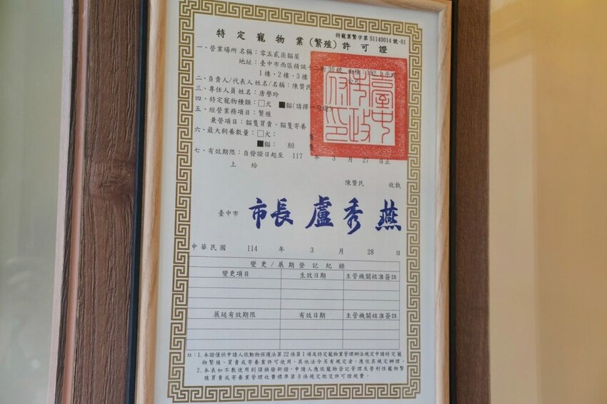 12街貓屋｜勤美新開幕日系貓咪咖啡廳，夢幻水果優格火鍋打造甜蜜下午茶! - 肉依小姐吃什麼