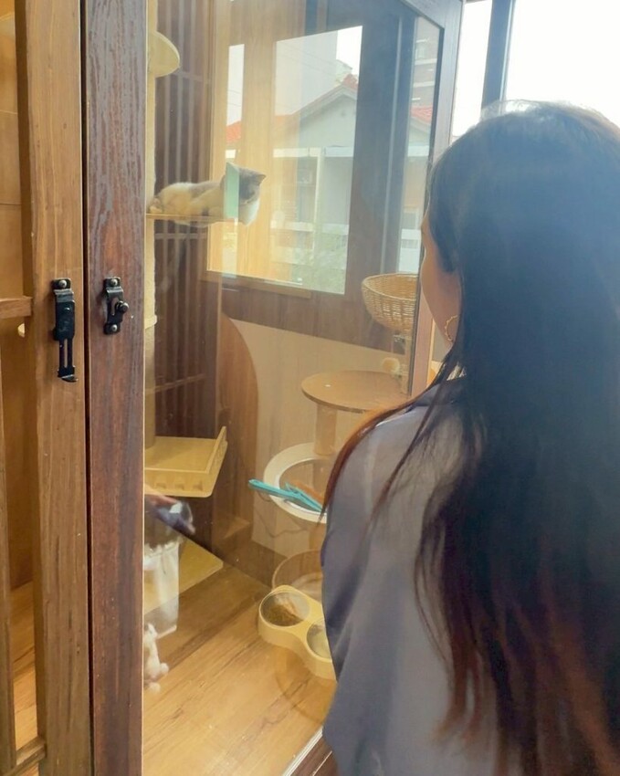 12街貓屋｜勤美新開幕日系貓咪咖啡廳，夢幻水果優格火鍋打造甜蜜下午茶! - 肉依小姐吃什麼