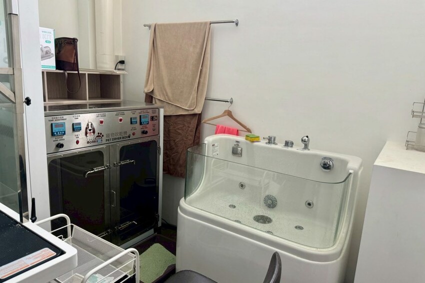 12街貓屋｜勤美新開幕日系貓咪咖啡廳，夢幻水果優格火鍋打造甜蜜下午茶! - 肉依小姐吃什麼
