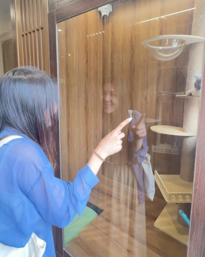 12街貓屋｜勤美新開幕日系貓咪咖啡廳，夢幻水果優格火鍋打造甜蜜下午茶! - 肉依小姐吃什麼