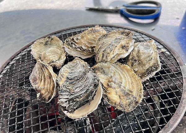 炭集烤蚵200吃到飽：東港海味的極致享受