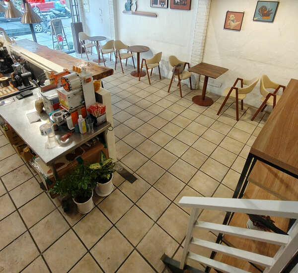 新竹咖啡廳新選擇！遇見胖喵咖啡豐盛早午餐，寵物友善空間。