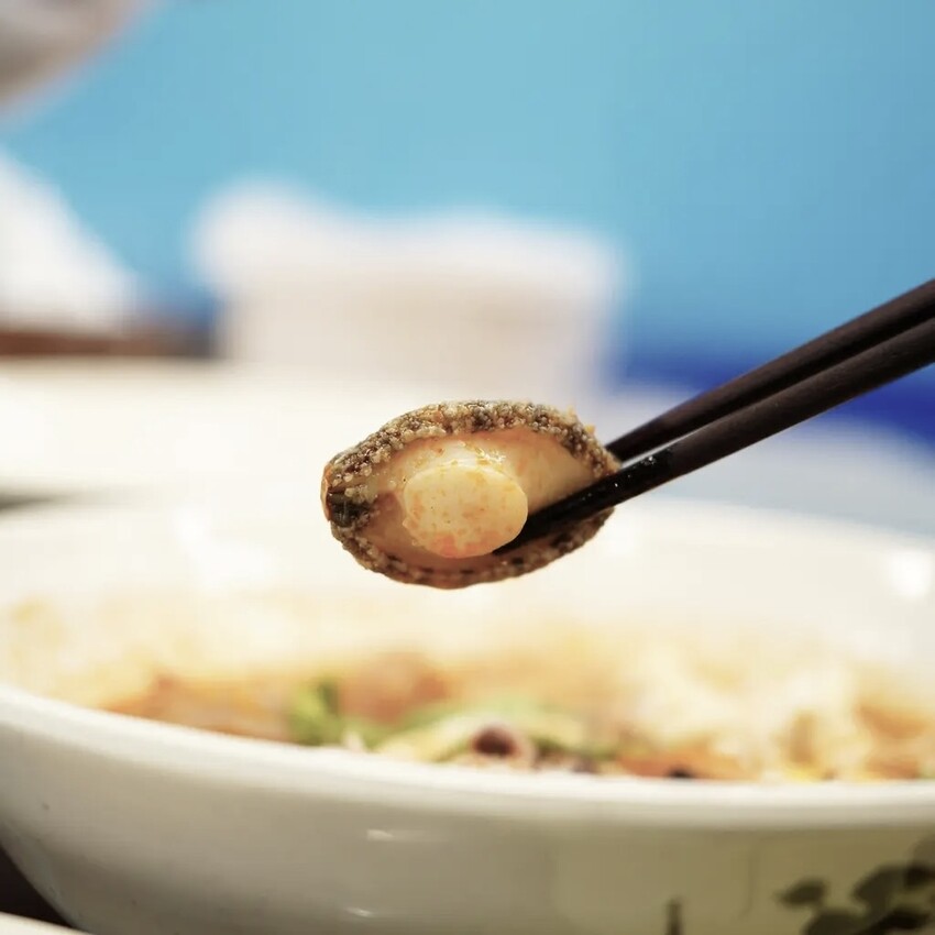 安南區美食推薦│海霸海鮮鍋燒│冷氣店面│料多新鮮又實在│海鮮