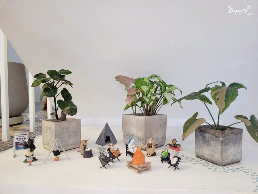 宜蘭雨山咖啡11.jpg 宜蘭雨山咖啡11.jpg