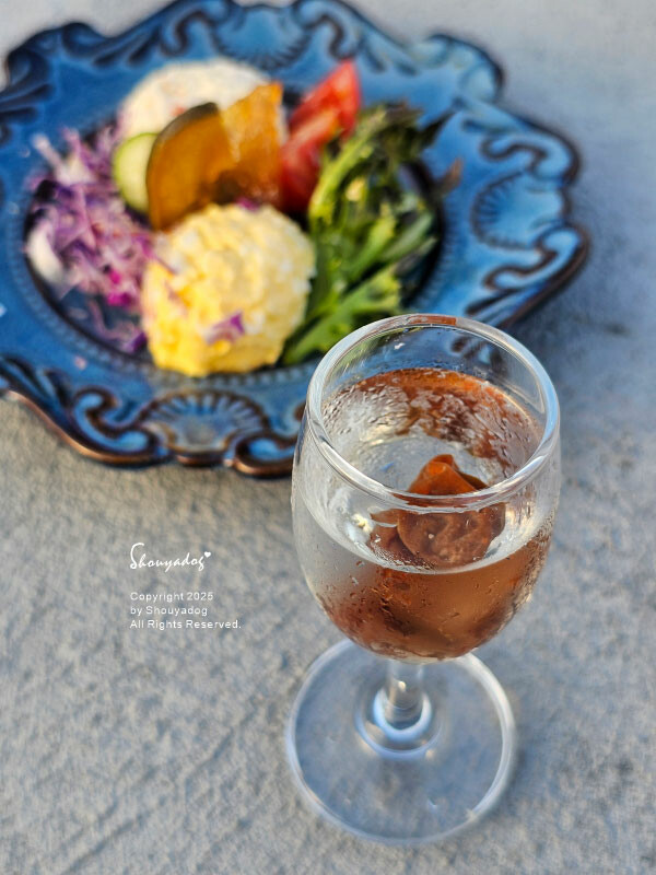 清涼酵素 Cingliang 梅子 青木瓜 鳳梨果乾 禮盒組