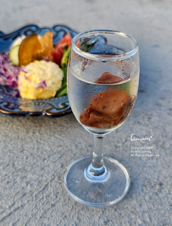 清涼酵素 Cingliang 梅子 青木瓜 鳳梨果乾 禮盒組